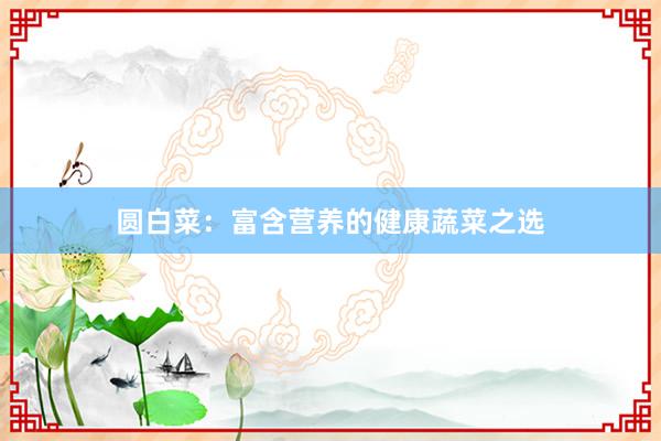 圆白菜：富含营养的健康蔬菜之选